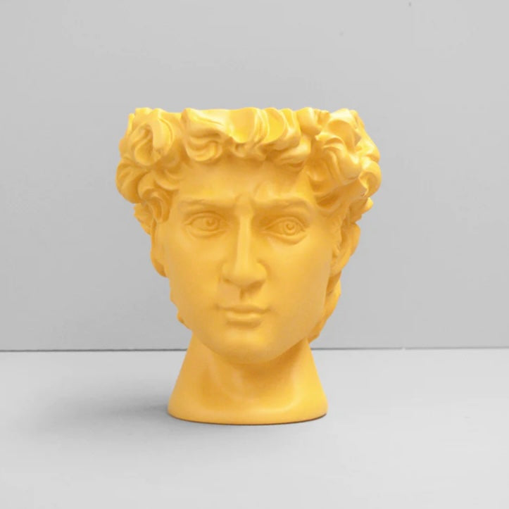 DAVID VASE / PLANTER -YELLOW