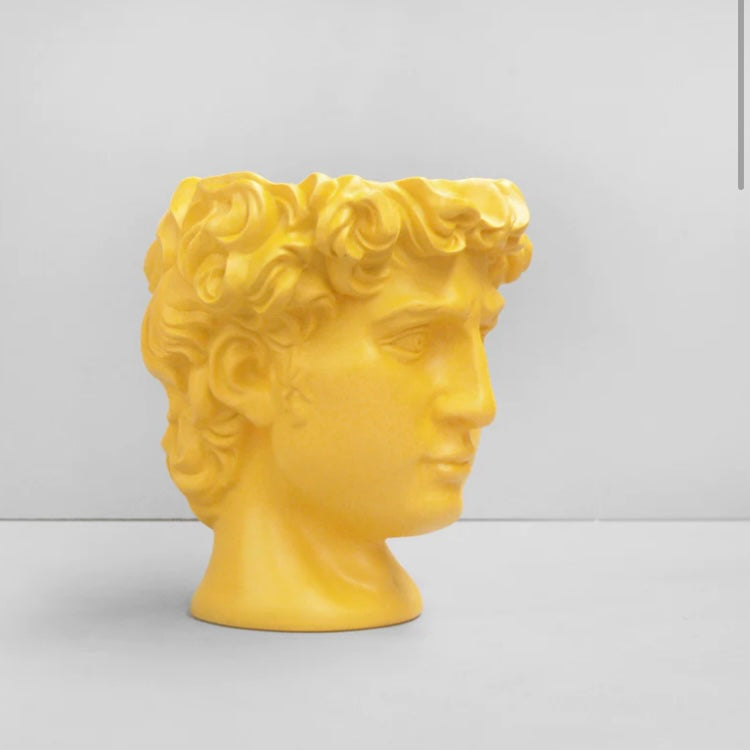 DAVID VASE / PLANTER -YELLOW