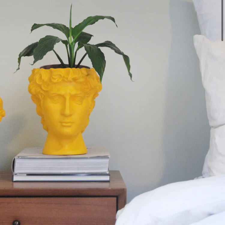 DAVID VASE / PLANTER -YELLOW