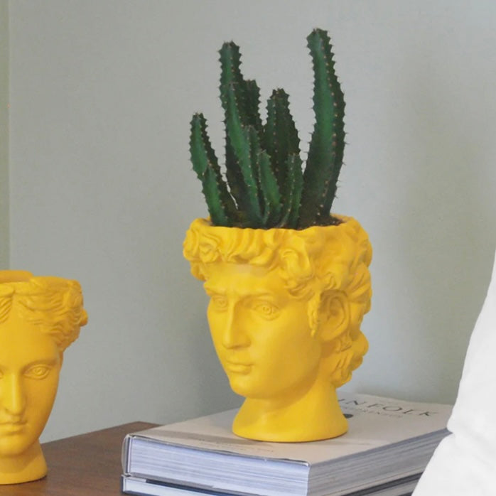 DAVID VASE / PLANTER -YELLOW