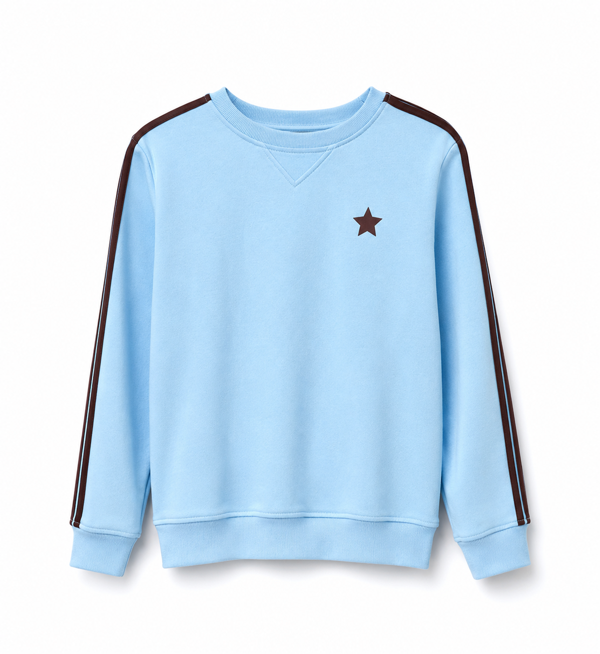 Arm Stripe Sweatshirt Sky/Chocolate