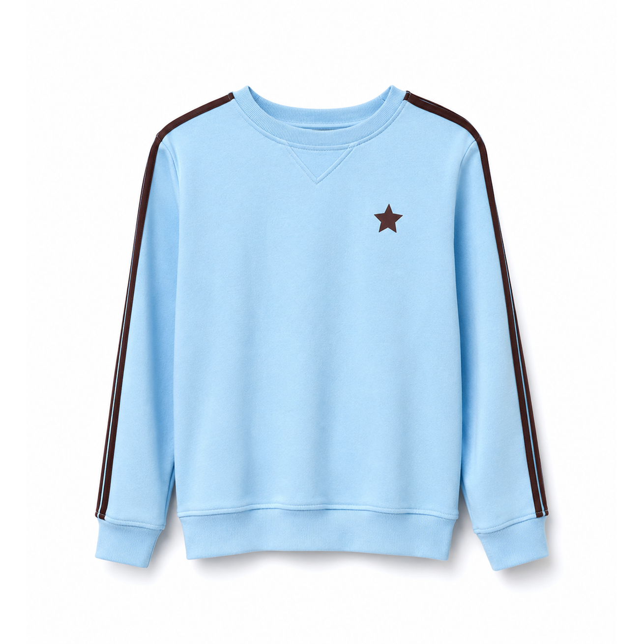 Arm Stripe Sweatshirt Sky/Chocolate