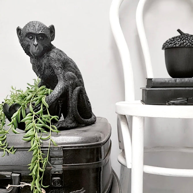 Marlon The Monkey Bowl- Black
