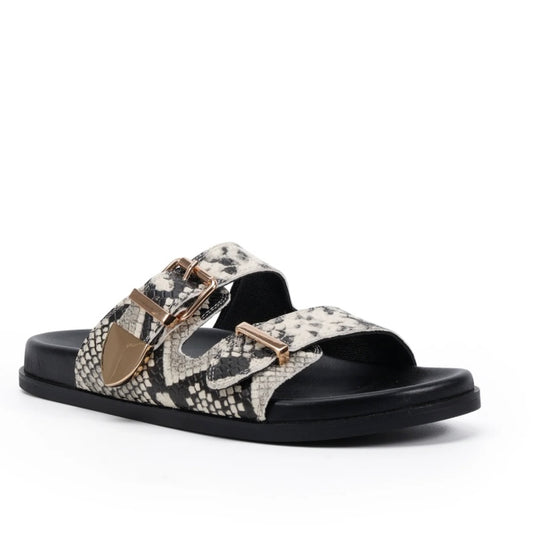 Iggy Snake Slides