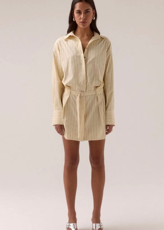 BRYNN SHIRT DRESS-LEMONADE STRIPE