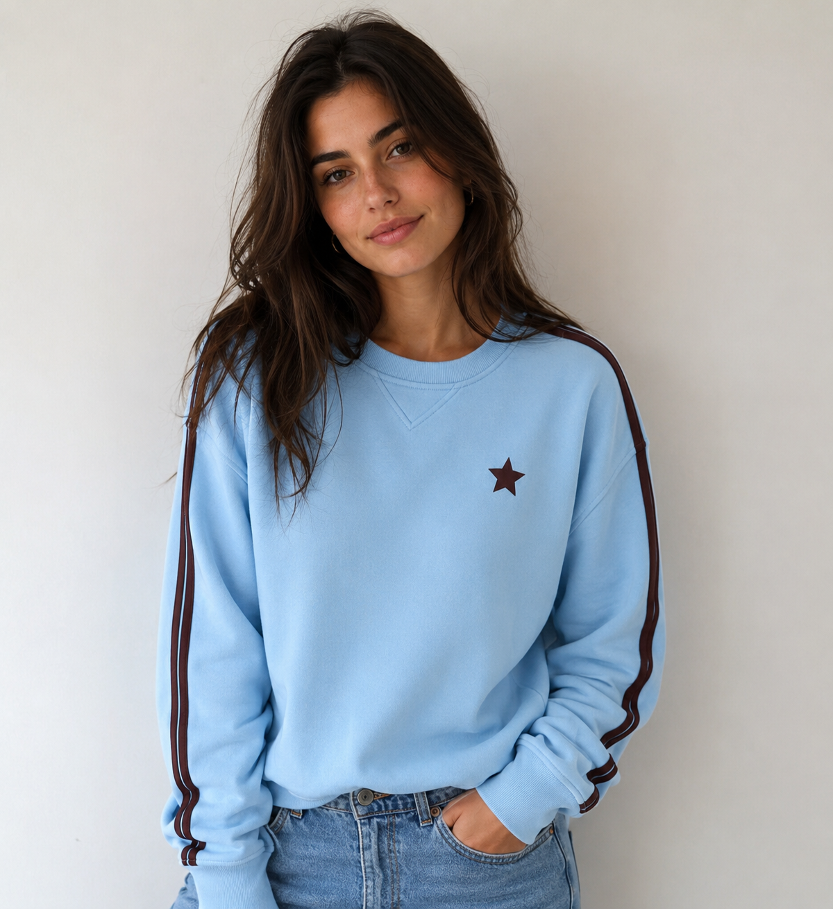 Arm Stripe Sweatshirt Sky/Chocolate