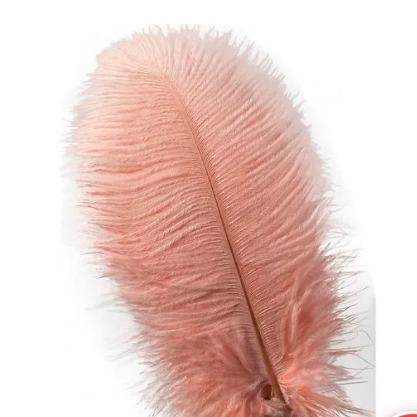 BURLESQUE FEATHERED FLOOR LAMP -BLUSH